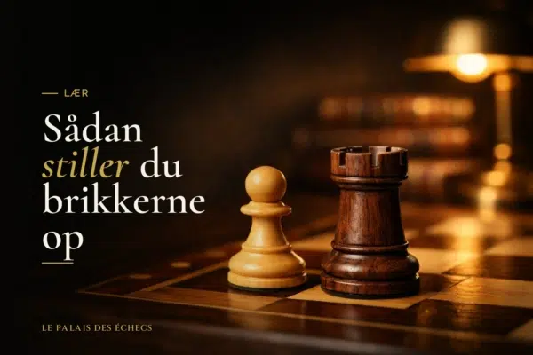 Sådan stiller du brikkerne op